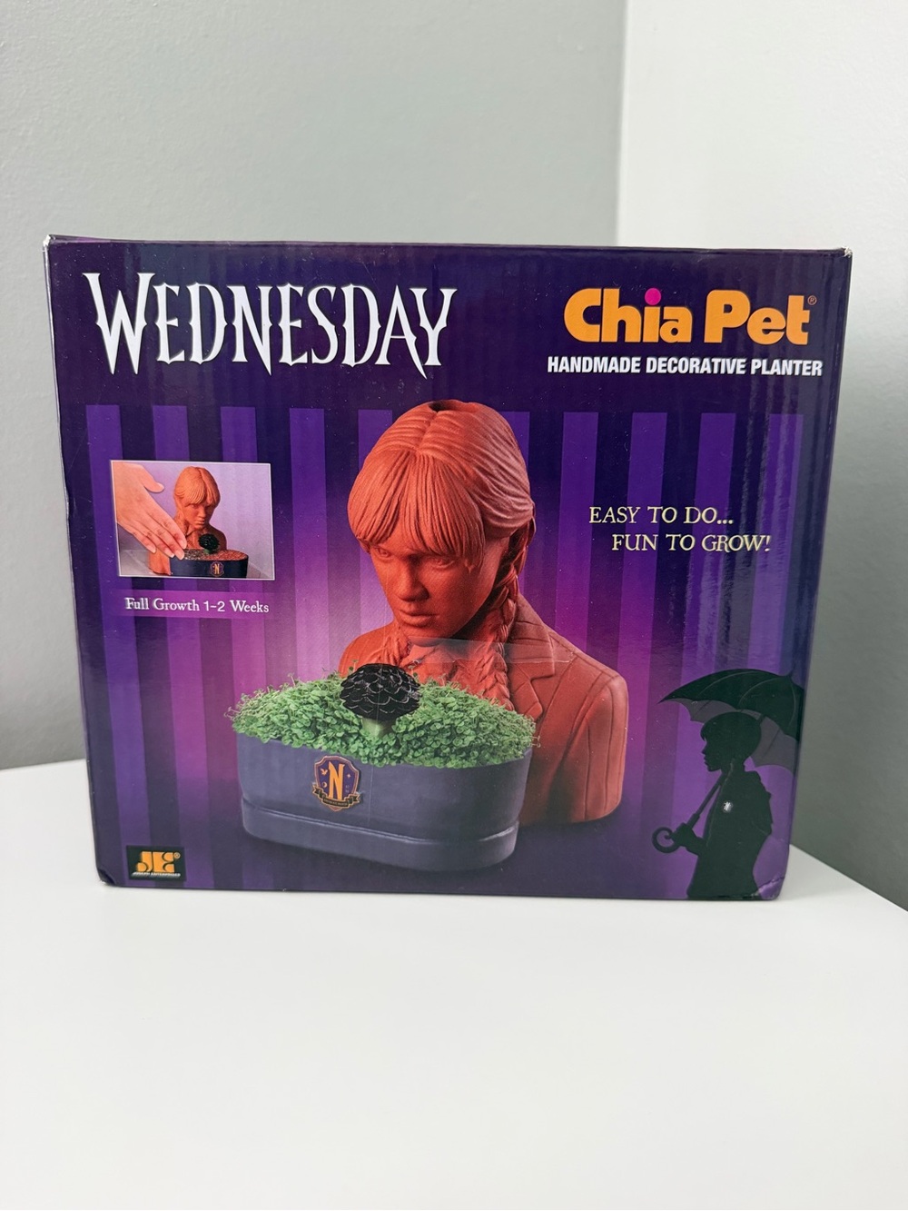 Wednesday Addams Chia Pet - Handmade Decorative Planter Set - Brand New in Box!